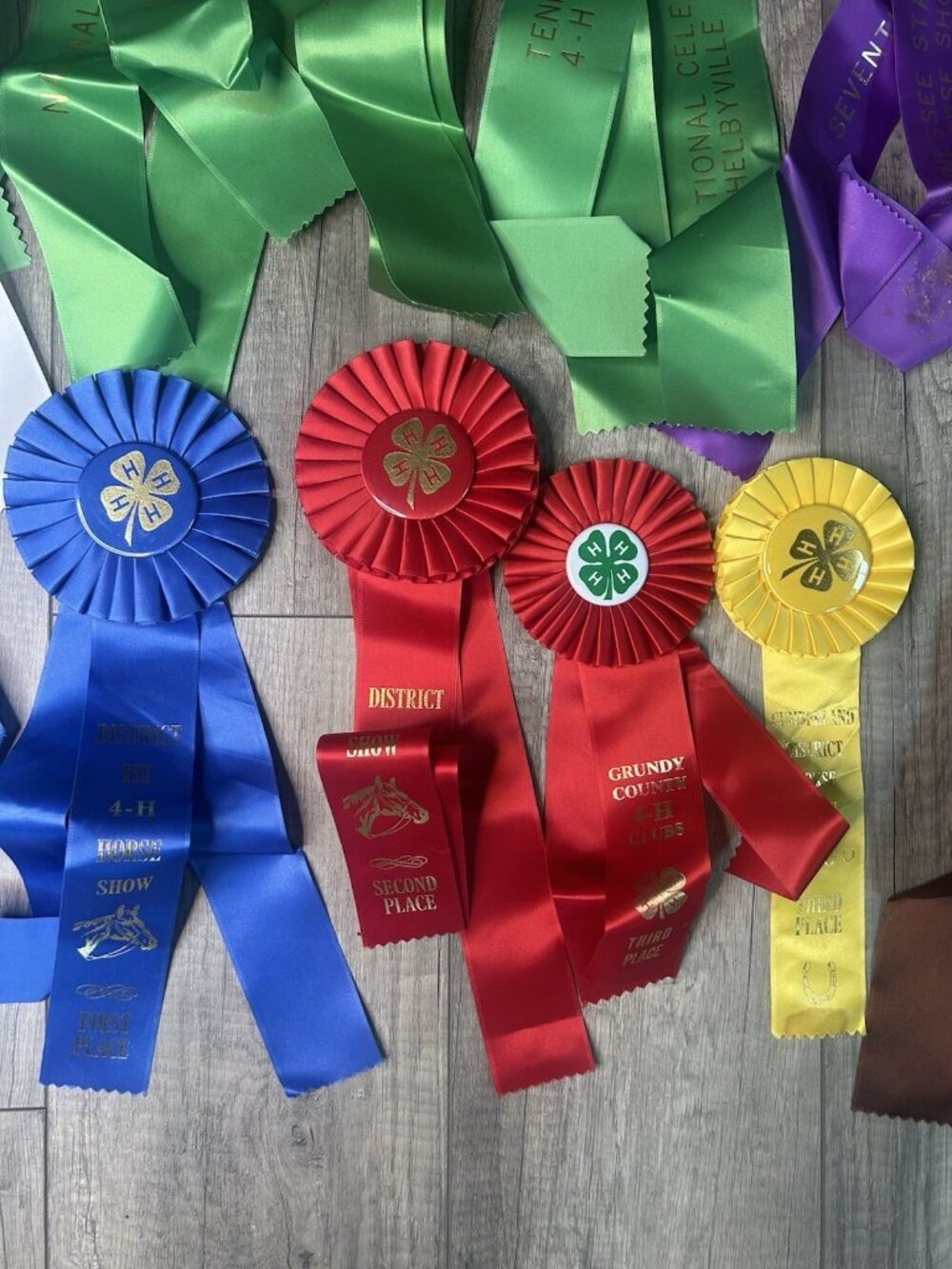 Show Ribbons 4-H Club Rosettes Craft Equestrian Tennessee Shelbyville Lot Of 19 - Picture 13 of 16